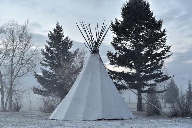 Baldachim kurtyna namiot tipi wiszcay szary