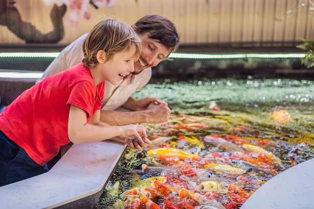 gra zrecznosciowa rodzinna rybki lowienie 24 rybek
