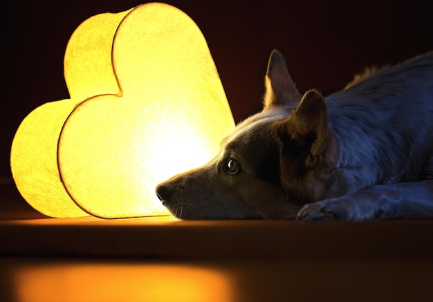 Lampka nocna dla dzieci silikonowa dotykowa miekka USB biala lezacy piesek