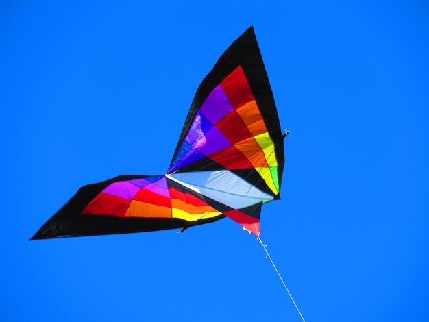 latawiec duzy 90cm motyl fioletowy