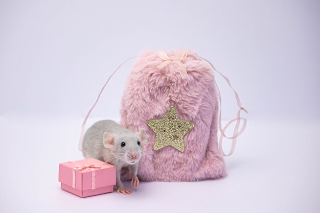 plecak dla przedszkolakaecaczek myszka 105 cala