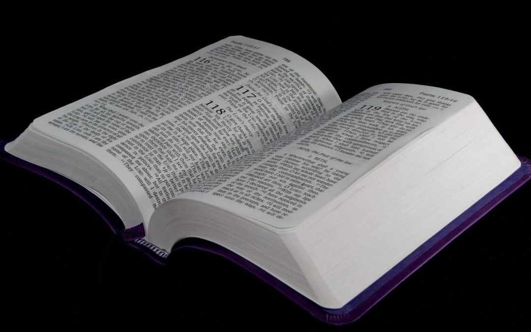 W jakiej kolejności czytać Pismo Święte żeby lepiej je zrozumieć?